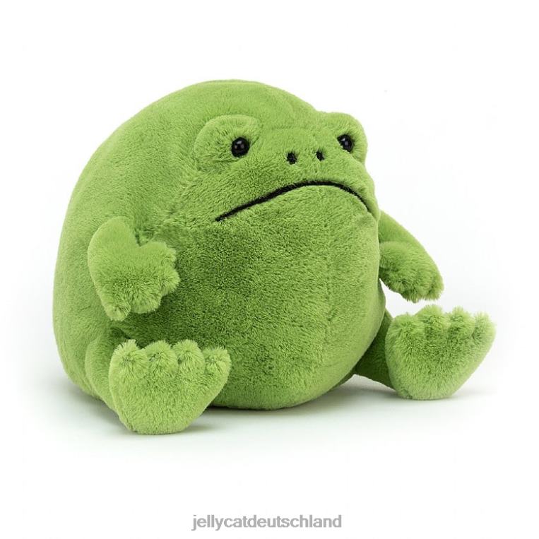 Jellycat Ricky Regenfrosch grün Spielzeug Z842419