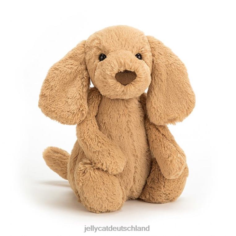 Jellycat schüchterner Toffee-Welpe beige Spielzeug Z8424417