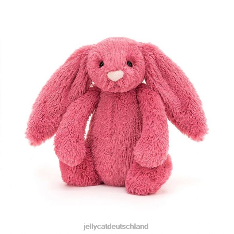 Jellycat schüchterner kirschroter Hase stieg Spielzeug Z8424496