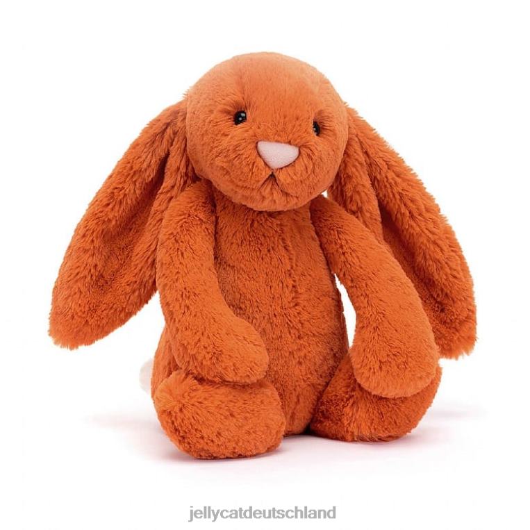 Jellycat schüchternes Mandarinen-Hasen-Orange Spielzeug Z8424131