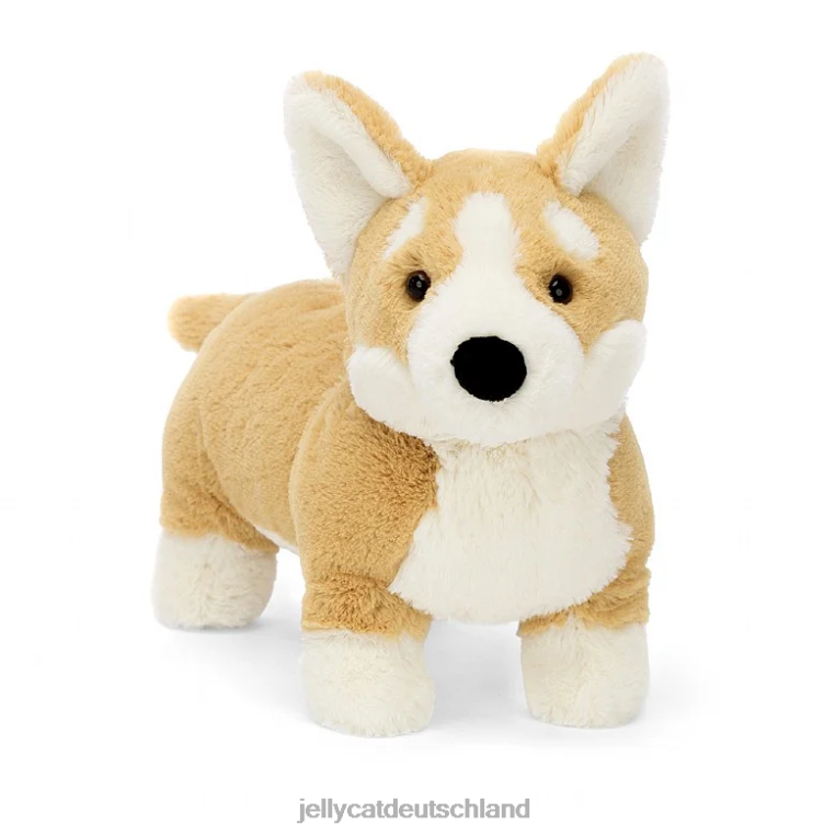 Jellycat Betty Corgi, Schatz Spielzeug Z842466